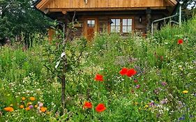 Blockhaus PanHütte